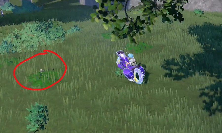 《寶可夢朱紫》滋汁鼴捕捉攻略 《寶可夢朱紫》滋汁鼴捕捉攻略