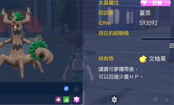 《寶可夢朱紫》持有物效果介紹