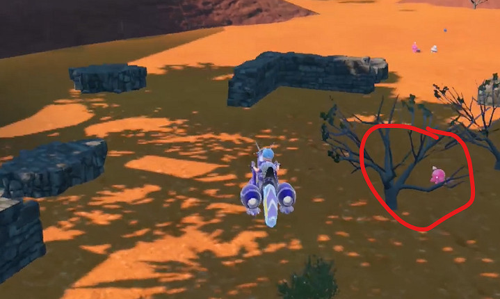 《寶可夢朱紫》小鍛匠捕獲位置介紹