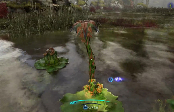 《阿凡達潘朵拉邊境》溫柔巨獸支線任務攻略 《阿凡達潘朵拉邊境》溫柔巨獸支線任務攻略