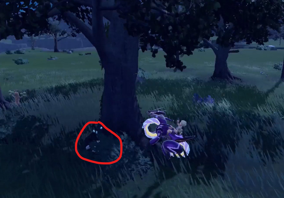 《寶可夢朱紫》樹枕尾熊捕捉位置介紹