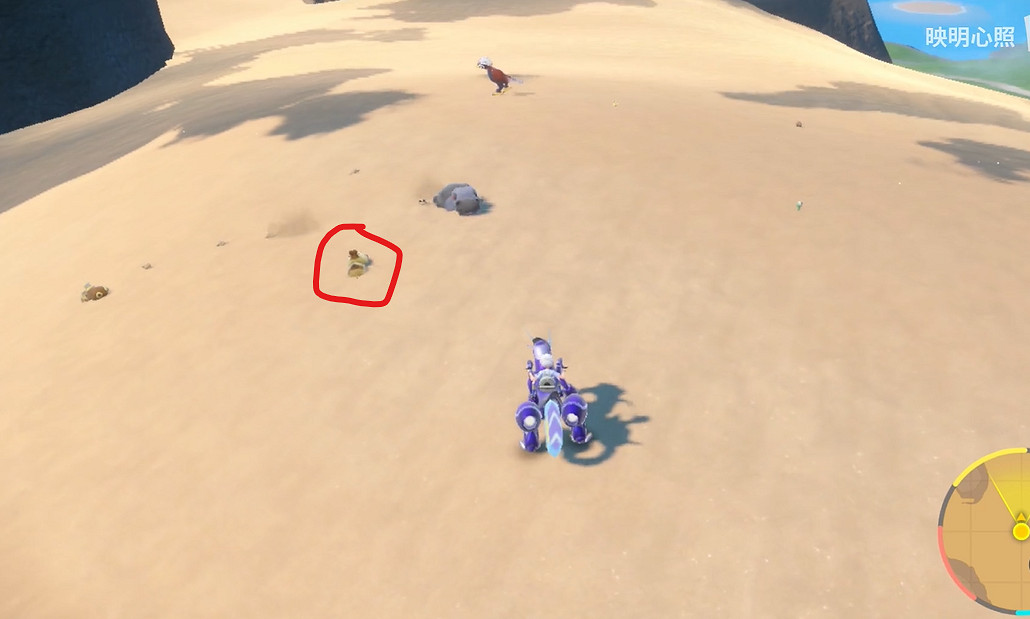 《寶可夢朱紫》沙河馬捕獲攻略