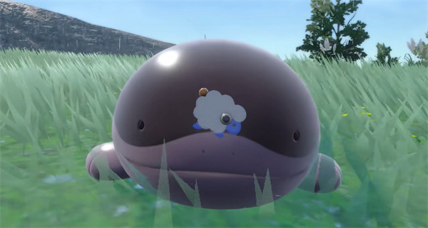 《寶可夢朱紫》土王學習自我再生方法