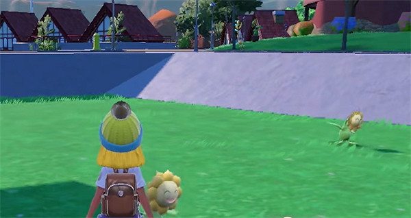 《寶可夢朱紫》向日花怪捕捉位置