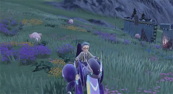 《寶可夢朱紫》吉利蛋獲取努力值介紹