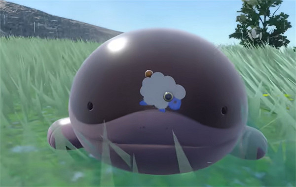 《寶可夢朱紫》地區形態介紹 《寶可夢朱紫》地區形態介紹