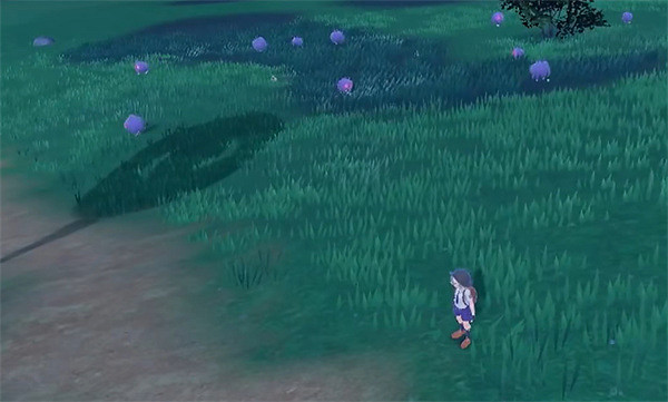 《寶可夢朱紫》摩魯蛾捕捉位置