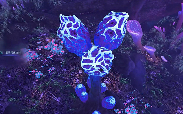 《阿凡達潘朵拉邊境》過去的味道支線任務攻略 《阿凡達潘朵拉邊境》過去的味道支線任務攻略