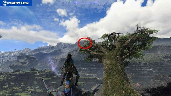 《阿凡達潘朵拉邊境》飄零風箏位置匯總 《阿凡達潘朵拉邊境》飄零風箏位置匯總