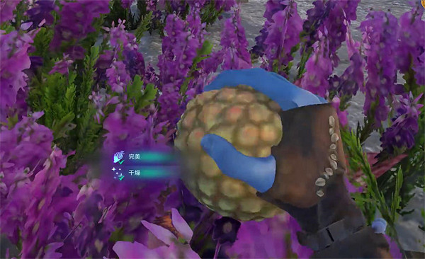 《阿凡達潘朵拉邊境》慶祝壁畫支線任務攻略 《阿凡達潘朵拉邊境》慶祝壁畫支線任務攻略