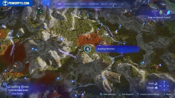 《阿凡達潘朵拉邊境》全菌絲網路活動位置一覽 《阿凡達潘朵拉邊境》全菌絲網路活動位置一覽