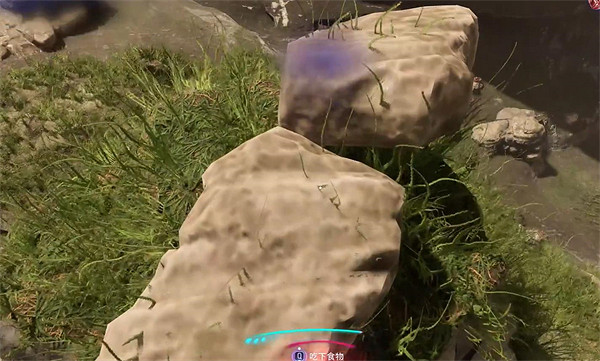 《阿凡達潘朵拉邊境》風將承載我們支線任務攻略