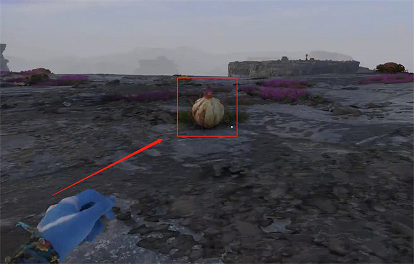 《阿凡達潘朵拉邊境》慶祝壁畫支線任務攻略 《阿凡達潘朵拉邊境》慶祝壁畫支線任務攻略