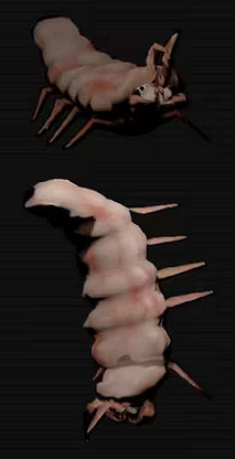 《致命公司》抱臉蟲傷害介紹 《致命公司》抱臉蟲傷害介紹