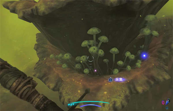 《阿凡達潘朵拉邊境》慶祝壁畫支線任務攻略 《阿凡達潘朵拉邊境》慶祝壁畫支線任務攻略