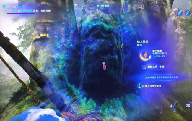 《阿凡達潘朵拉邊境》蛇木球果位置