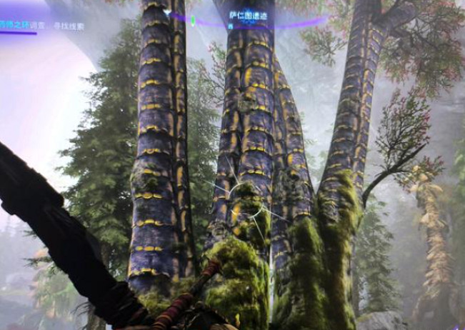 《阿凡達潘朵拉邊境》蛇木球果位置