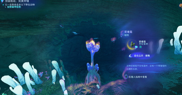 《阿凡達潘朵拉邊境》賢者菇獲取攻略 《阿凡達潘朵拉邊境》賢者菇獲取攻略