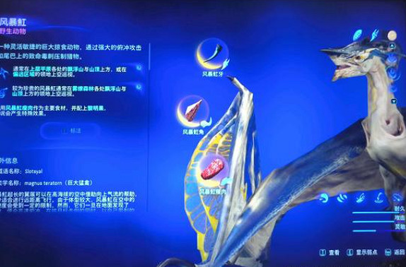 《阿凡達潘朵拉邊境》風暴魟固定刷新位置 《阿凡達潘朵拉邊境》風暴魟固定刷新位置