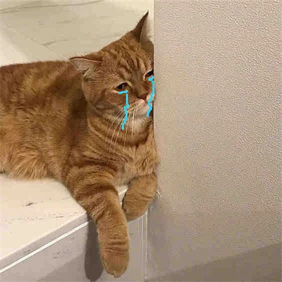 網易撤訴！魔獸中國伺服器真的要回歸了？