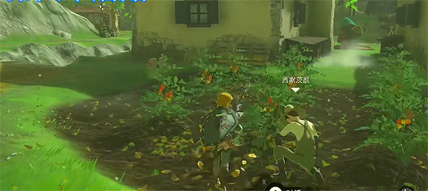 《塞爾達傳說：王國之淚》村長選舉任務攻略