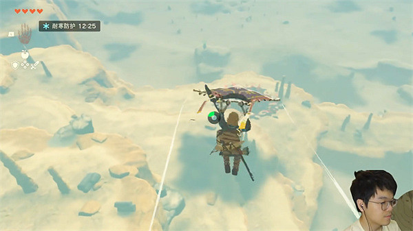 《塞爾達傳說：王國之淚》弱智吧介紹