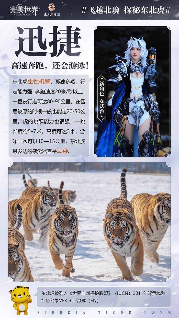 《完美世界》手遊歲末大版本正式上線 超凶虎妹來襲 《完美世界》手遊歲末大版本正式上線 超凶虎妹來襲