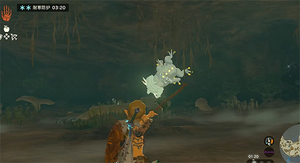 《塞爾達傳說：王國之淚》洞窟位置地圖