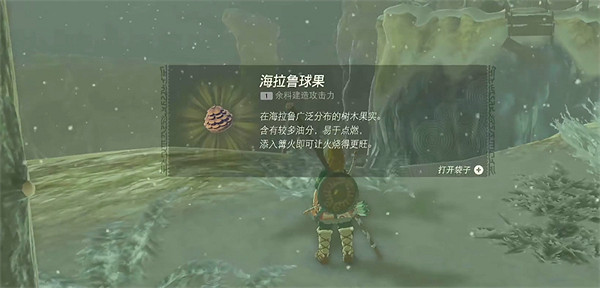 《塞爾達傳說：王國之淚》斷橋應對方法