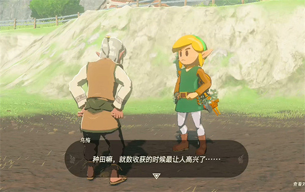 《塞爾達傳說:王國之淚》種地機制介紹 《塞爾達傳說:王國之淚》種地機制介紹