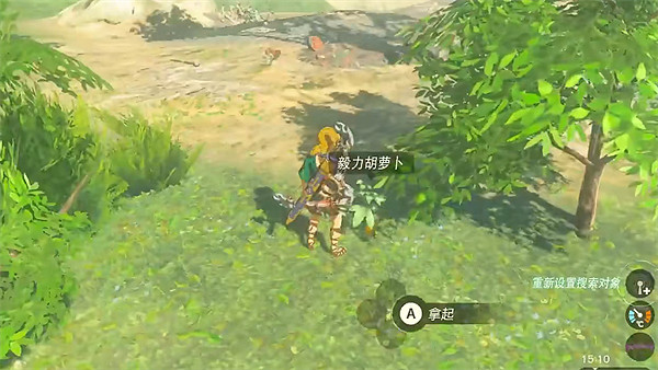 《塞爾達傳說：王國之淚》毅力胡蘿卜位置