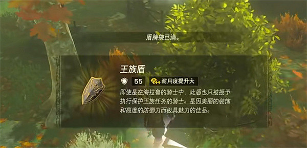 《塞爾達傳說：王國之淚》大箱子獎勵介紹