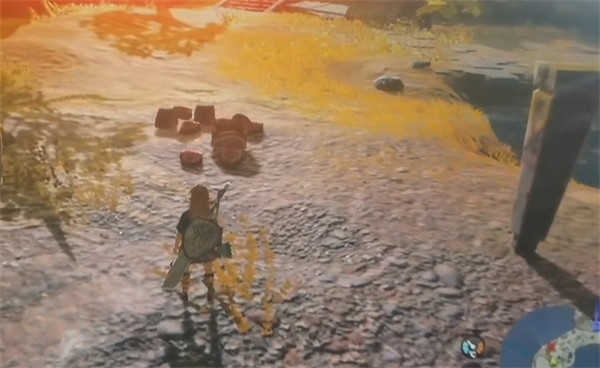 《塞爾達傳說：王國之淚》王國之淚林克狼介紹