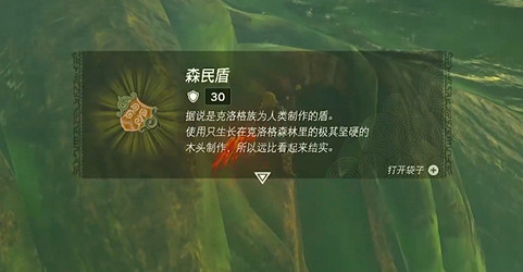 《塞爾達傳說王國之淚》森民盾位置介紹