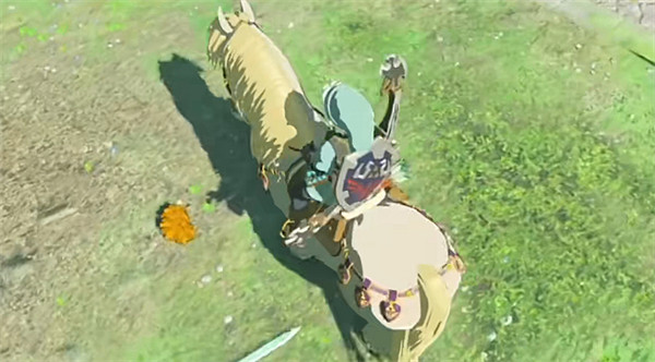 《塞爾達傳說:王國之淚》傳送機制介紹 《塞爾達傳說:王國之淚》傳送機制介紹