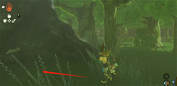 《塞爾達傳說:王國之淚》隱秘洞穴位置分享 《塞爾達傳說:王國之淚》隱秘洞穴位置分享