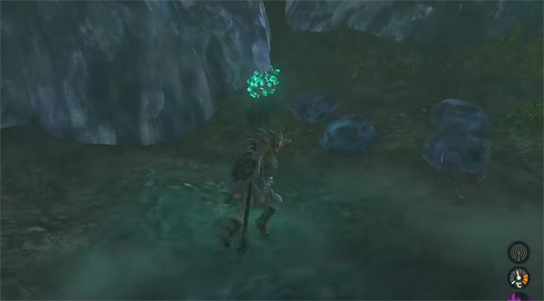 《塞爾達傳說:王國之淚》卓拉族布料獲取方法 《塞爾達傳說:王國之淚》卓拉族布料獲取方法