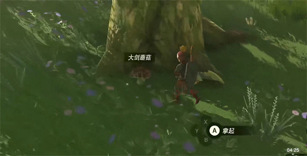 《塞爾達傳說:王國之淚》大劍蘑菇位置 《塞爾達傳說:王國之淚》大劍蘑菇位置