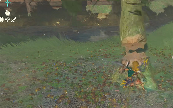 《塞爾達傳說：王國之淚》鬆果獲取方法介紹