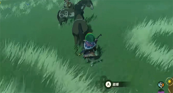 《塞爾達傳說：王國之淚》抓馬地點介紹