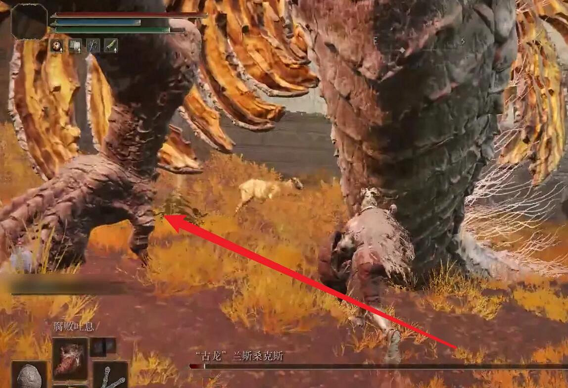 《艾爾登法環》古龍蘭斯桑克斯打法介紹 《艾爾登法環》古龍蘭斯桑克斯打法介紹