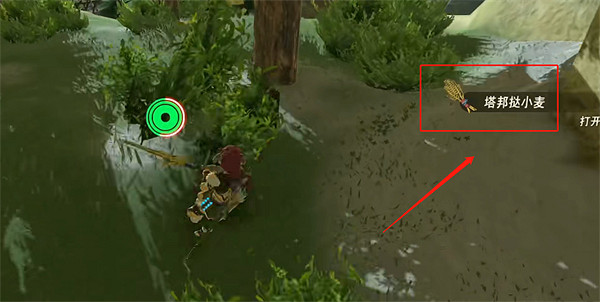《塞爾達傳說：王國之淚》塔邦撻小麥獲取方法