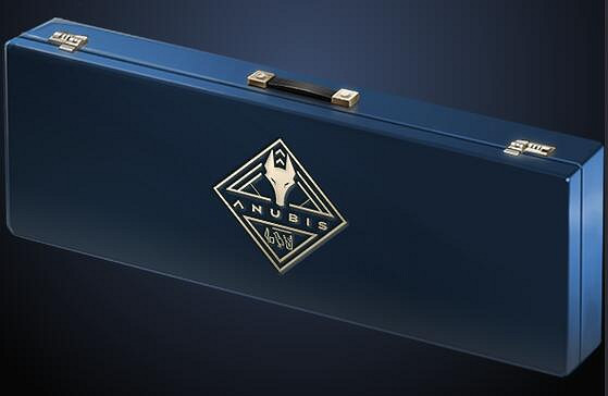 《cS2》紀念品的槍用處介紹