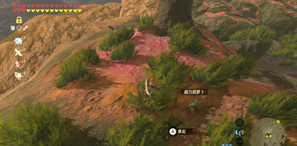 《塞爾達傳說王國之淚》毅力蘿卜獲取地點 《塞爾達傳說王國之淚》毅力蘿卜獲取地點