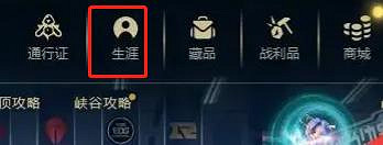 《lol》勳章最高等級介紹