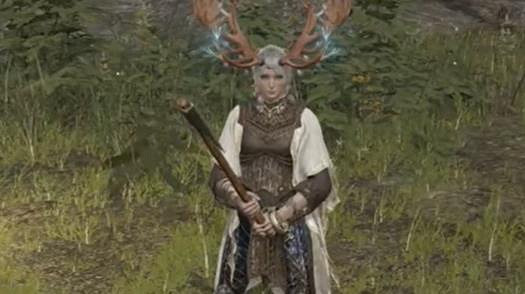 《艾爾登法》環單持武器按鍵介紹 《艾爾登法》環單持武器按鍵介紹