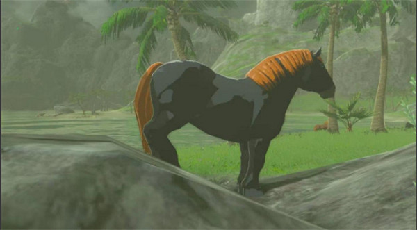 《塞爾達傳說王國之淚》性格暴烈的馬需要精力介紹