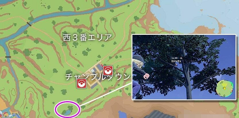 《寶可夢朱紫》蜜集大蛇出現位置 《寶可夢朱紫》蜜集大蛇出現位置