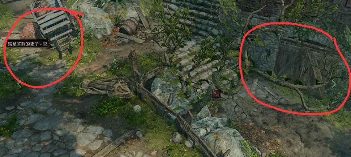 《柏德之門3》榮譽模式怎麽開局? 《柏德之門3》榮譽模式怎麽開局?