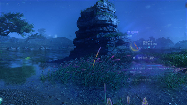 《阿凡達潘朵拉邊境》淤泥蘆葦採集地點